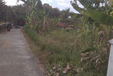 DIJUAL TANAH SLEMAN : PEKARANGAN DI SLEMAN