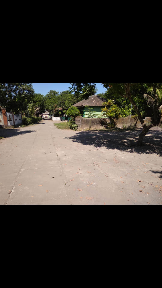 DIJUAL TANAH SLEMAN : TANAH BERBAH