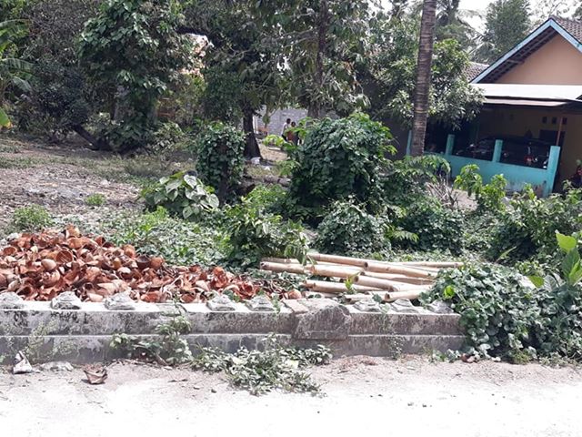 DIJUAL TANAH  BANTUL : PEKARANGAN NGASEM