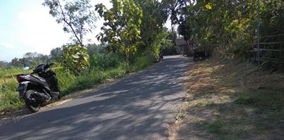 DIJUAL TANAH BANTUL : SAWAH MULYODADI