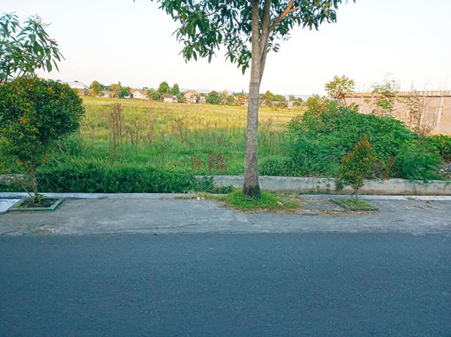 DIJUAL TANAH  BANTUL : TANAH BANGUNHARJO