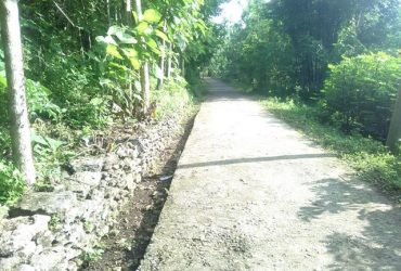 DIJUAL TANAH BANTUL : TANAH SEDAYU