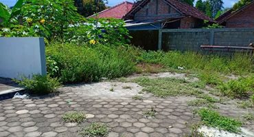 DIJUAL TANAH  BANTUL : TANAH TAMANAN