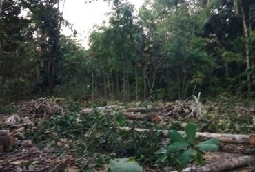 DIJUAL TANAH BANTUL : TANAH WONOTAWANG