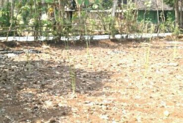 DIJUAL TANAH GUNUNGKIDUL : TANAH AREA WONOSARI