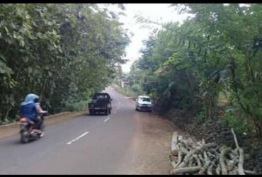 DIJUAL TANAH GUNUNGKIDUL : TANAH CANDIREJO