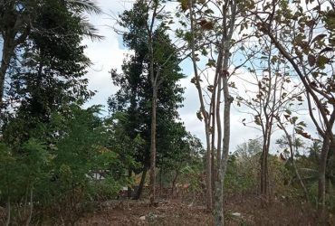 DIJUAL TANAH GUNUNGKIDUL : TANAH TEPUS