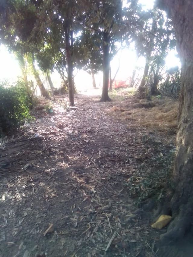 DIJUAL TANAH SLEMAN : TANAH  GOMBANG