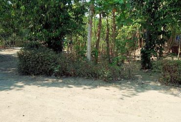 DIJUAL TANAH BANTUL : TANAH  JL IMOGIRI