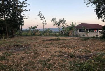 DIJUAL TANAH BANTUL : TANAH POTORONO