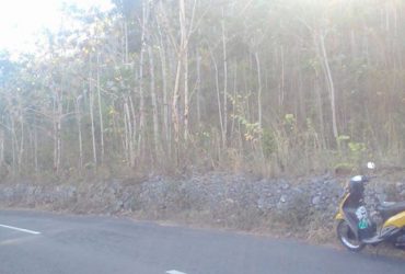 DIJUAL TANAH GUNUNGKIDUL : TANAH DEKAT PANTAI