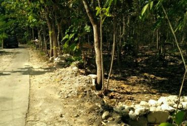 DIJUAL TANAH GUNUNGKIDUL : TANAH KARANGMOJO