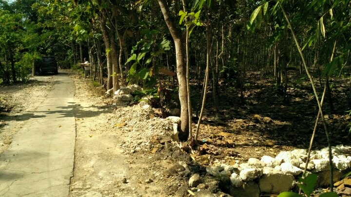 DIJUAL TANAH GUNUNGKIDUL : TANAH KARANGMOJO