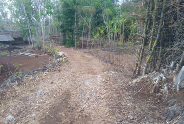 DIJUAL TANAH GUNUNGKIDUL : TANAH KEMIRI