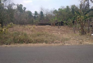 DIJUAL TANAH GUNUNG KIDUL : TANAH PLAYEN