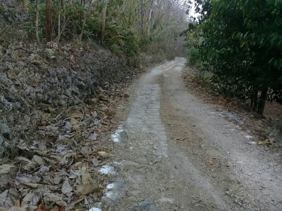 DIJUAL TANAH GUNUNGKIDUL  : TANAH SUMBERWUNGU