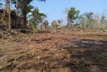 DIJUAL TANAH KULONPROGO : TANAH SENTOLO