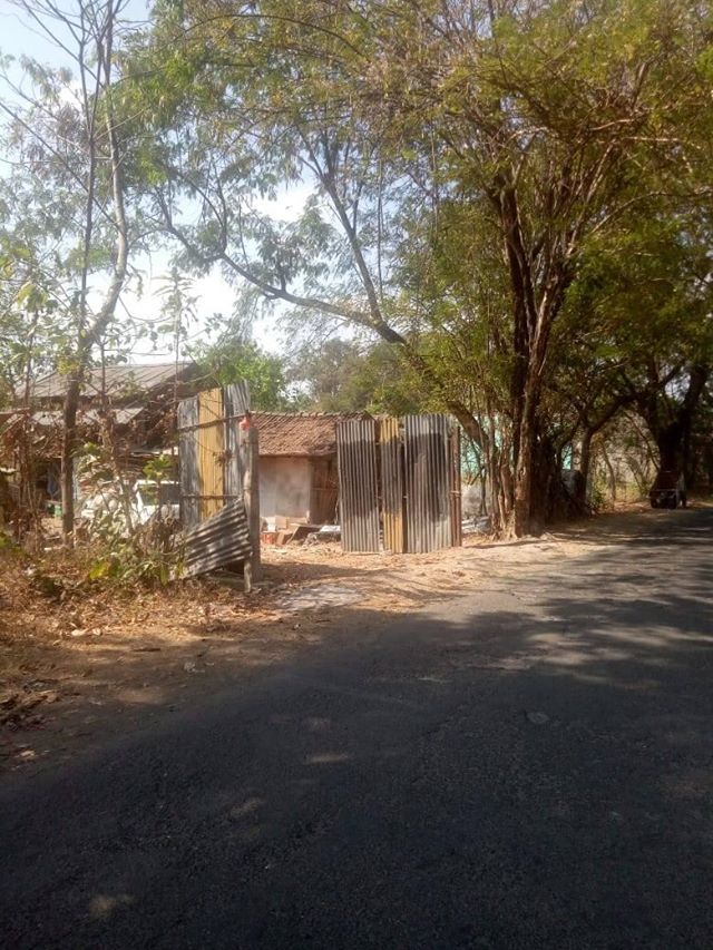 DIJUAL TANAH SLEMAN : TANAH  WEDOMARTANI