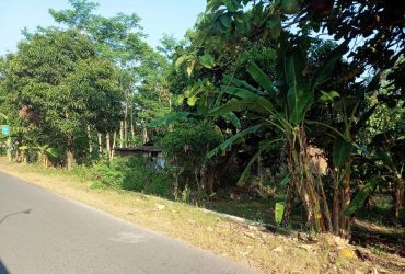 DIJUAL TANAH BANTUL : TANAH JL IMOGIRI BARAT