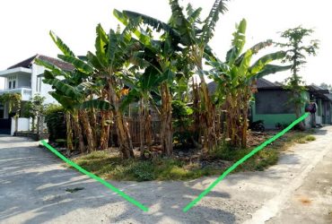 DIJUAL TANAH BANTUL : TANAH  PELEMSEWU