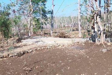 DIJUAL TANAH GUNUNGKIDUL : TANAH MURAH