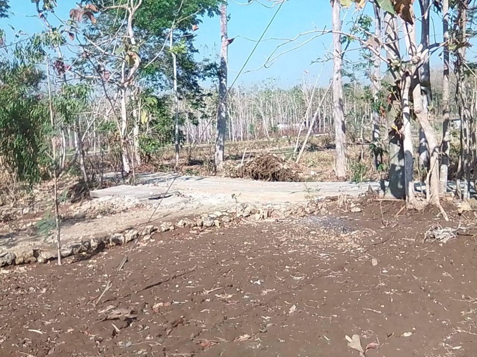 DIJUAL TANAH GUNUNGKIDUL : TANAH MURAH