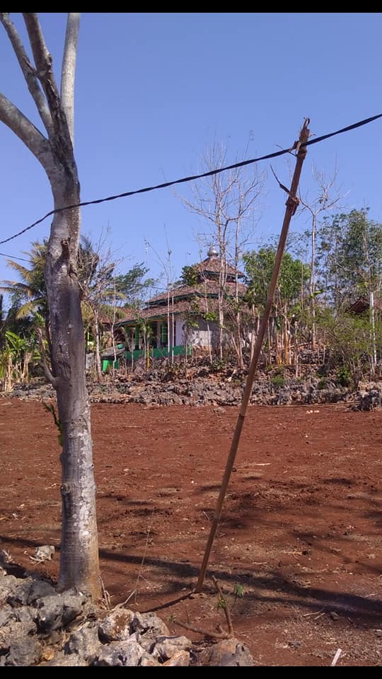 DIJUAL TANAH GUNUNGKIDUL : TANAH PEKARANGAN