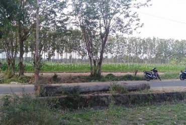 DIJUAL TANAH SLEMAN : TANAH MURAH
