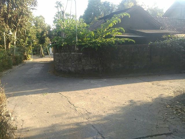 DIJUAL TANAH SLEMAN : TANAH  WEDOMARTANI